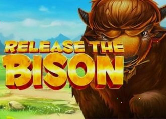 Bison reels